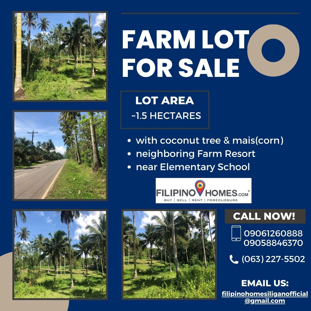 Embrace the Future of Real Estate Investment: Your Paradise Found in Pualas, Tubod, Lanao del Norte!